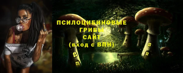 mdpv Баксан