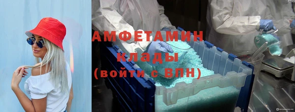 сатива Балахна