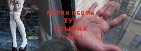сатива Балахна