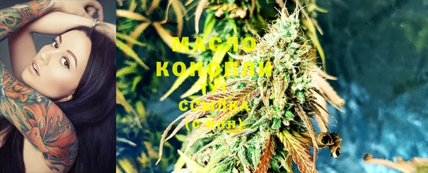 гидра Новозыбков