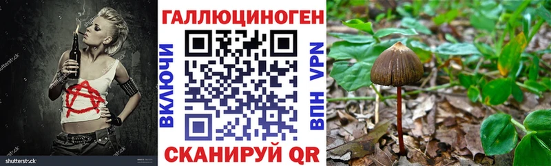 цены наркотик  Болохово  Псилоцибиновые грибы Magic Shrooms 